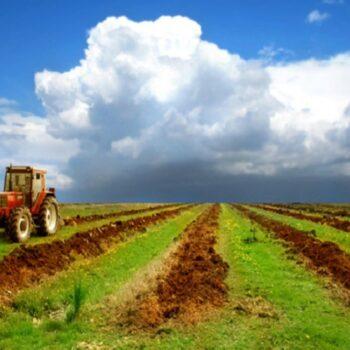 Как купить земли сельскохозяйственного назначения в Украине