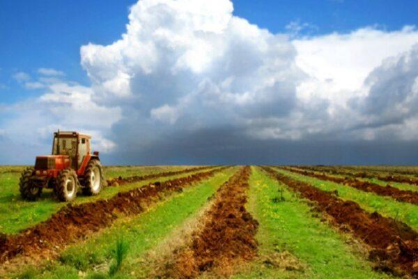 Как купить земли сельскохозяйственного назначения в Украине