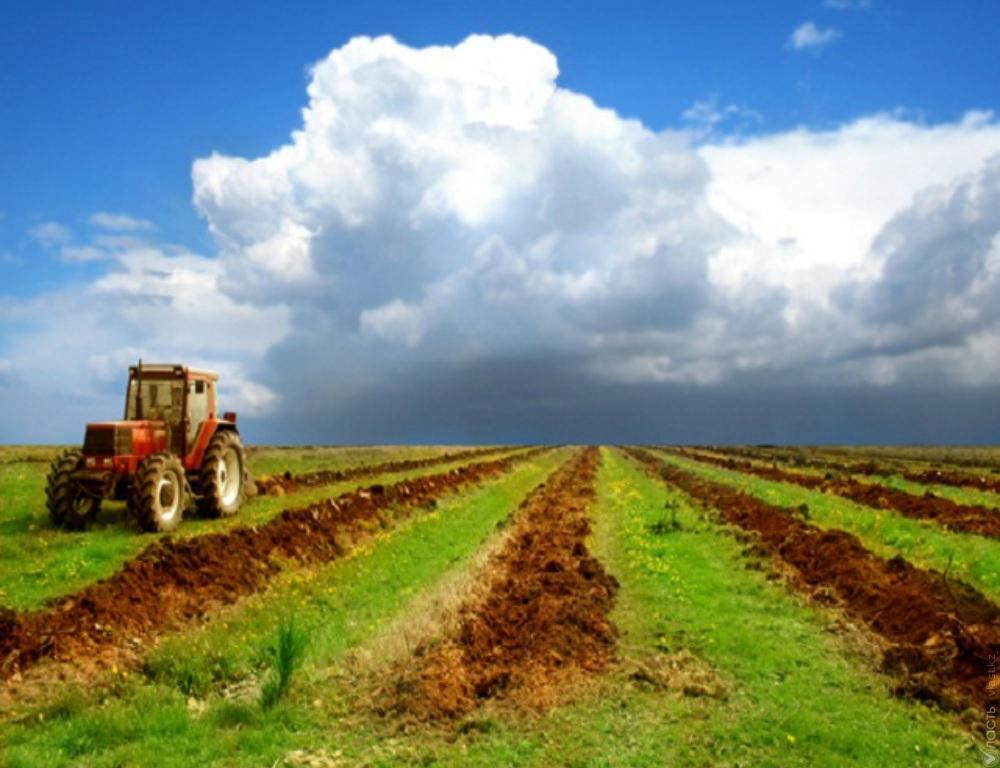 Як купити землю сільськогосподарського призначення в Україні